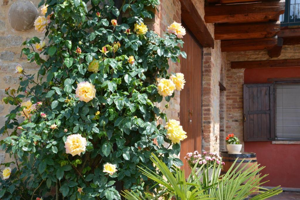 Bed and Breakfast Da Fabiana Bossolasco Екстер'єр фото